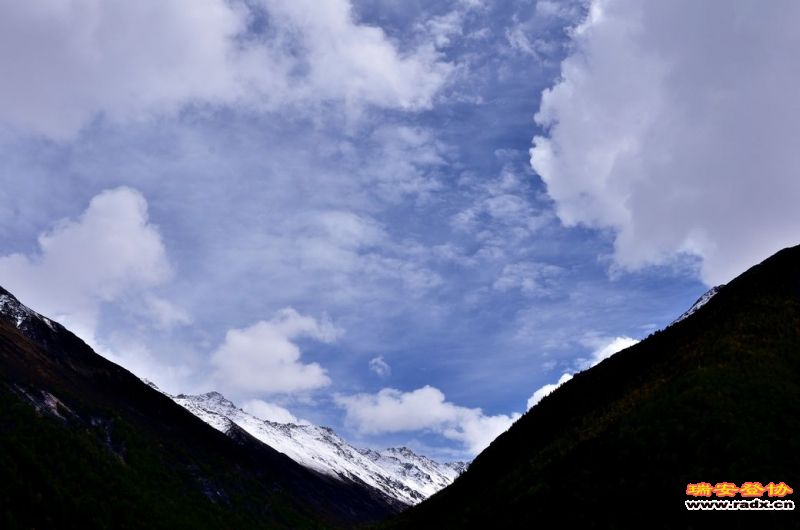 DSC_2922.jpg