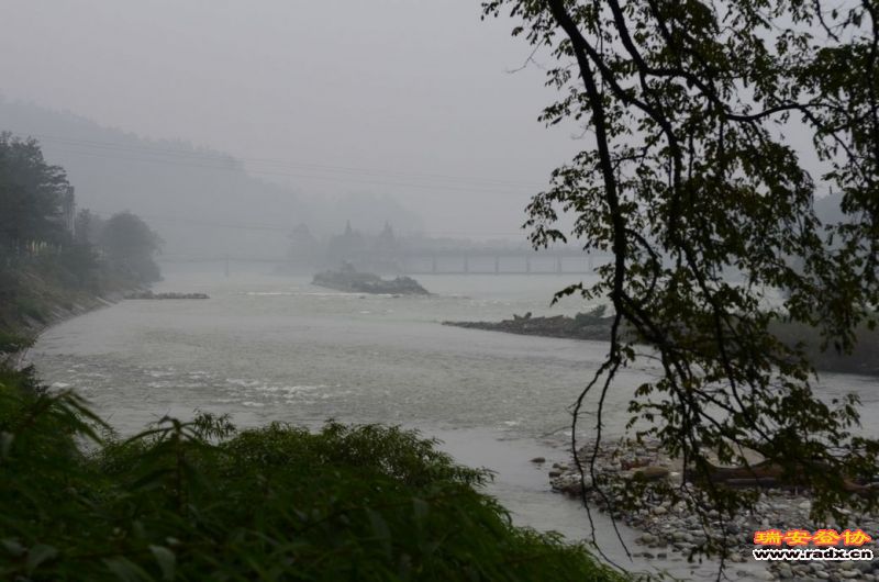 DSC_3386.jpg