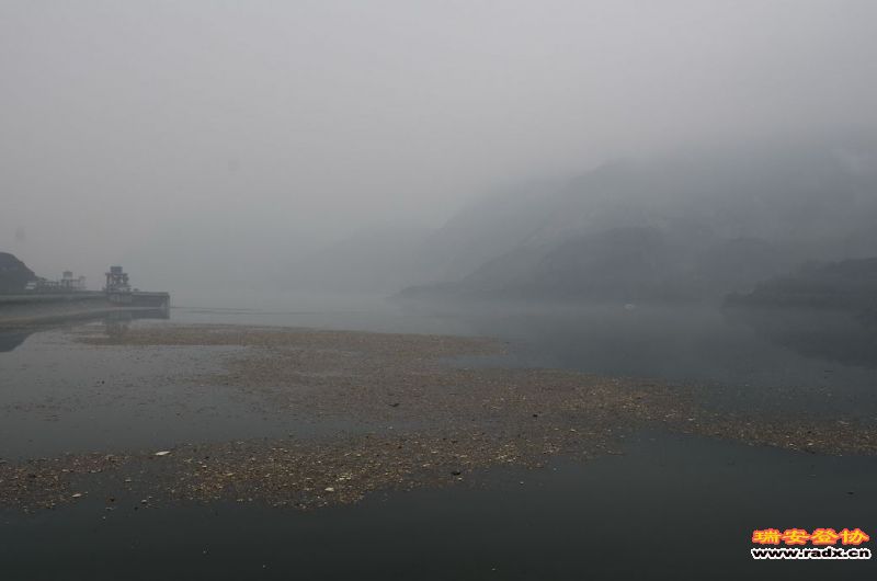DSC_3393.jpg