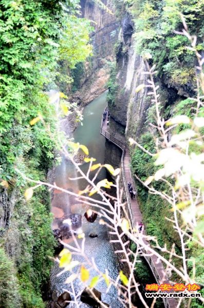 DSC_3592.jpg