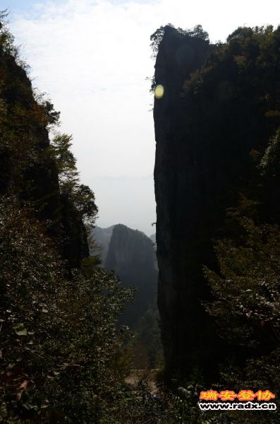 DSC_3714.jpg