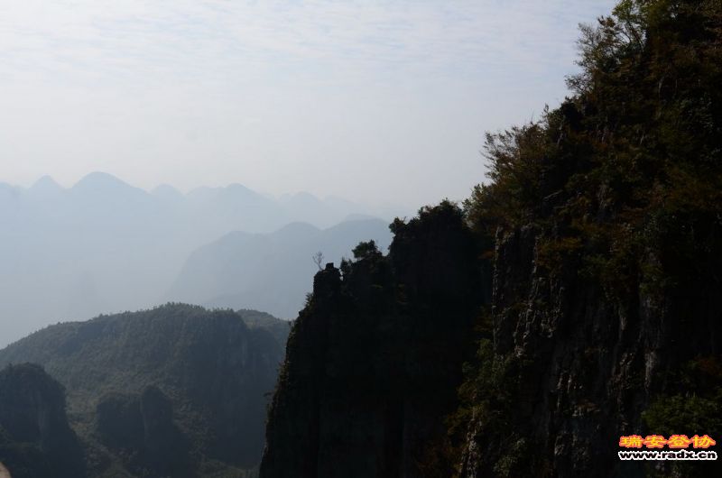DSC_3764.jpg