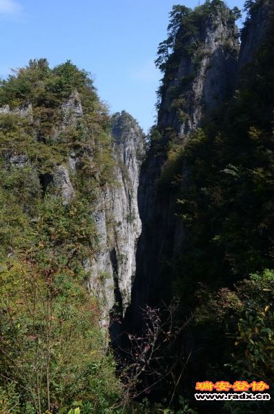 DSC_3841.jpg
