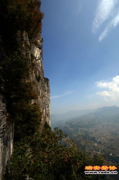 DSC_3885.jpg