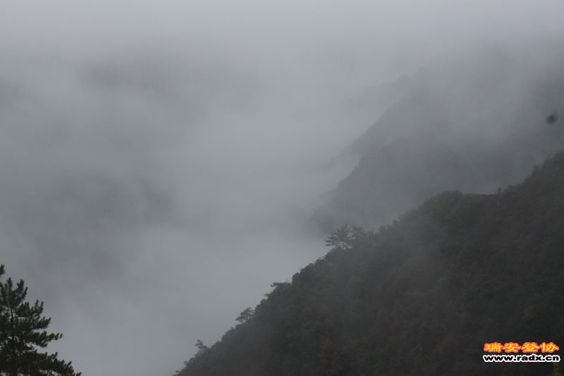 照片 024.jpg