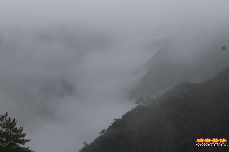 照片 026.jpg