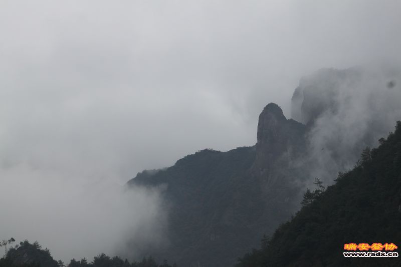 照片 035.jpg