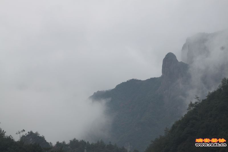 照片 036.jpg