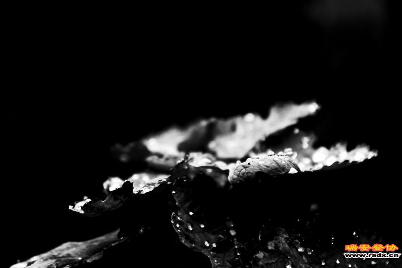 IMG_6339_副本.jpg