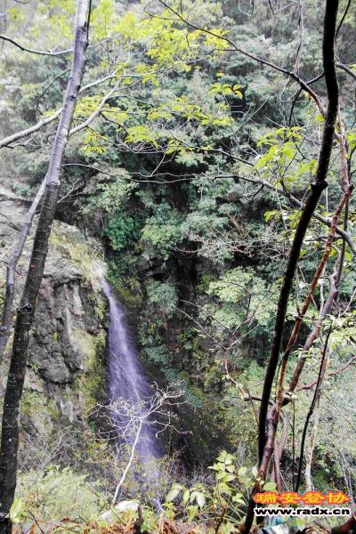 飞鹰道054.jpg
