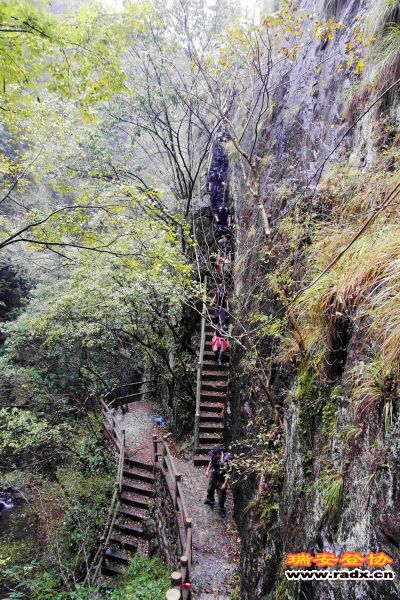 飞鹰道058.jpg