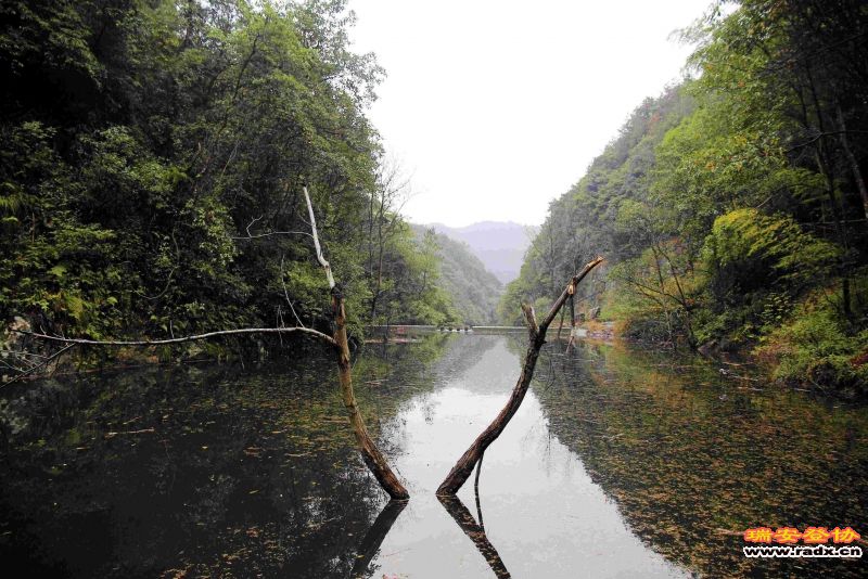飞鹰道064.jpg