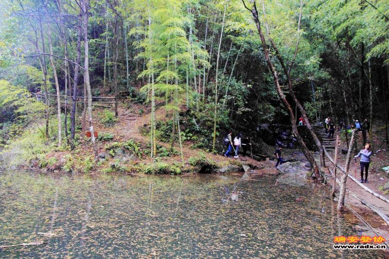 飞鹰道065.jpg