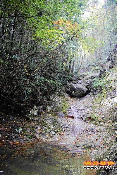 飞鹰道067.jpg