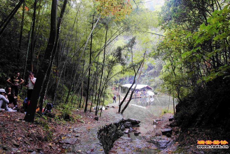 飞鹰道071.jpg