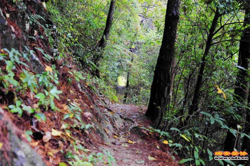 飞鹰道075.jpg