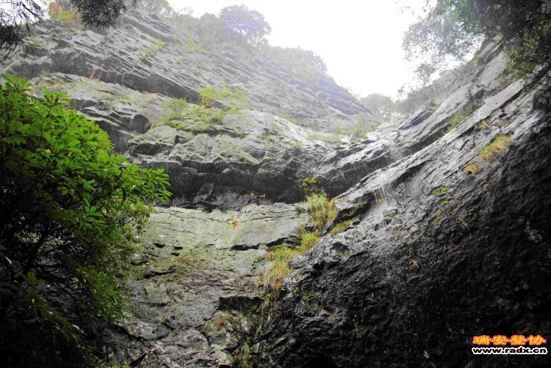 飞鹰道092.jpg