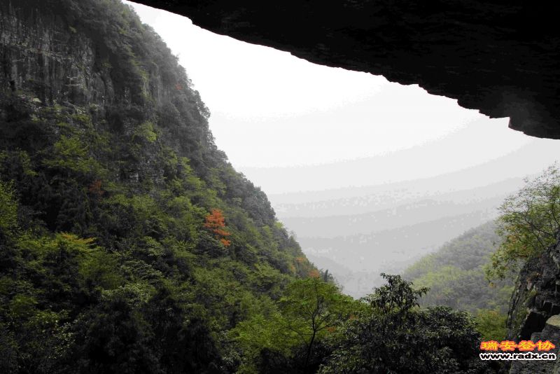 飞鹰道102.jpg