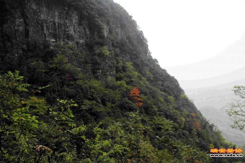 飞鹰道108.jpg