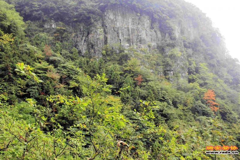 飞鹰道109.jpg