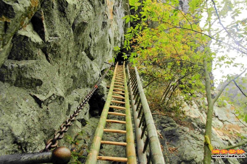 飞鹰道110.jpg
