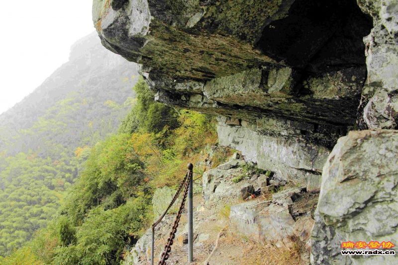 飞鹰道113.jpg