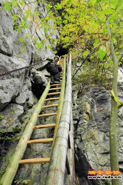 飞鹰道114.jpg