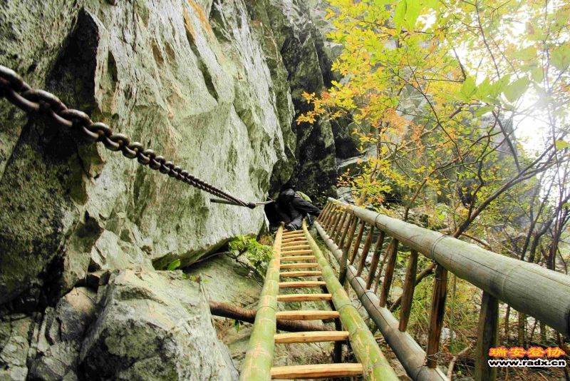 飞鹰道115.jpg