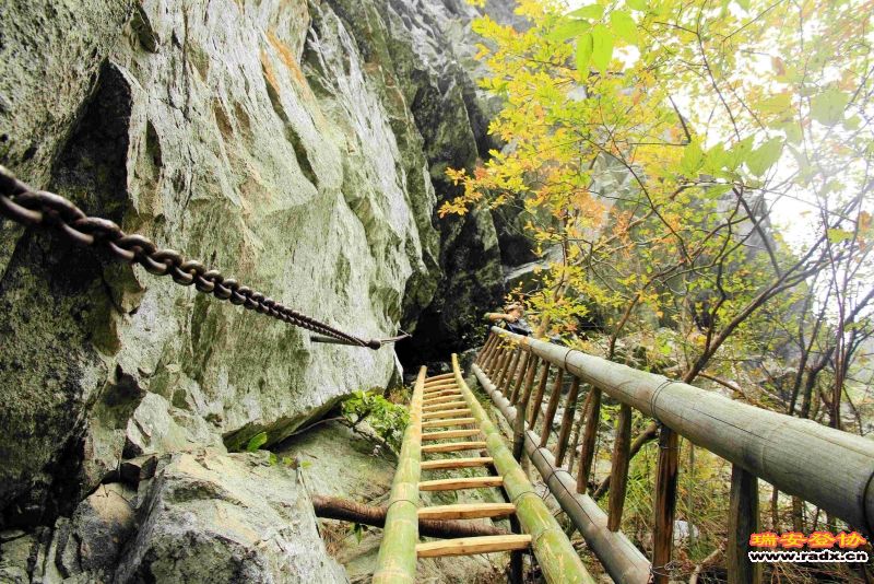 飞鹰道116.jpg