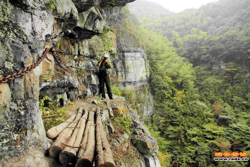 飞鹰道122.jpg