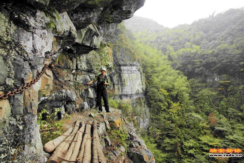 飞鹰道123.jpg