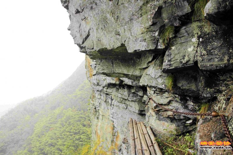 飞鹰道125.jpg