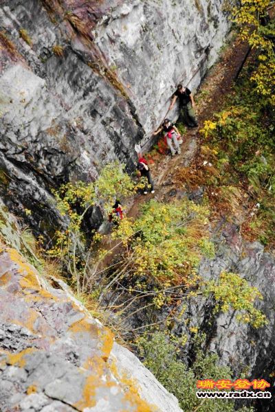 飞鹰道128.jpg