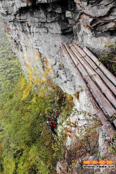 飞鹰道129.jpg
