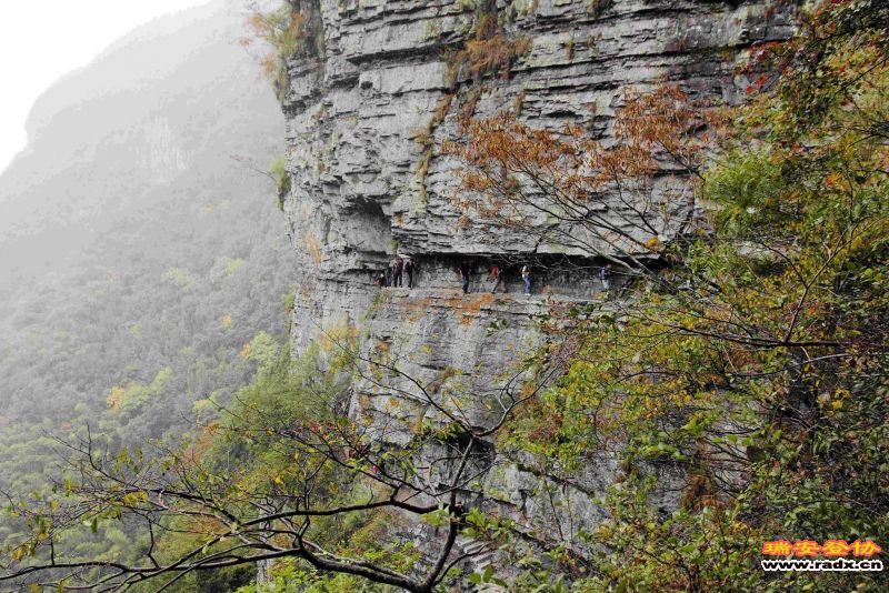飞鹰道136.jpg