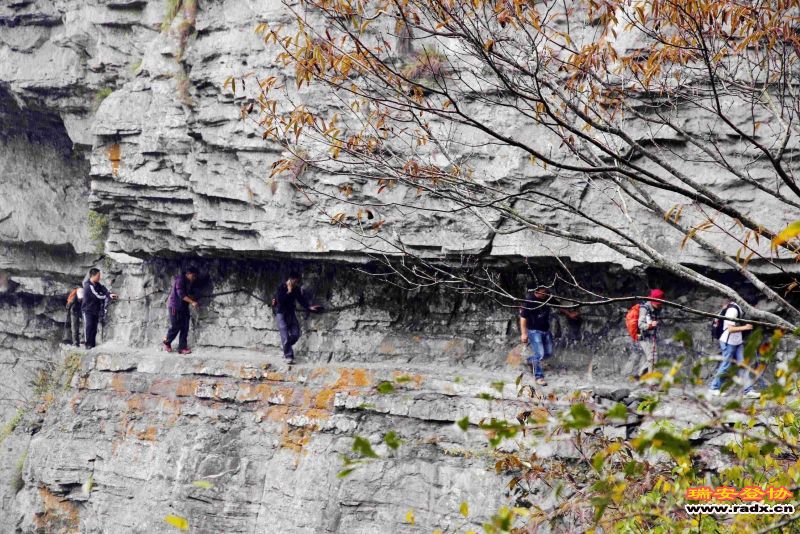 飞鹰道137.jpg