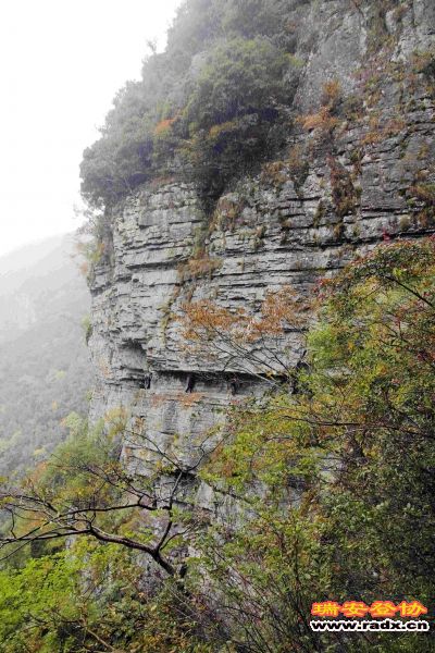 飞鹰道138.jpg