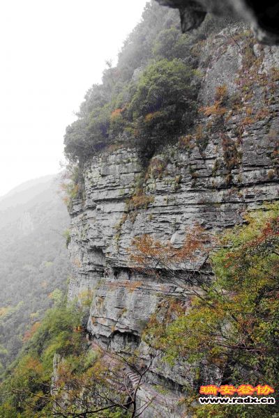 飞鹰道139.jpg
