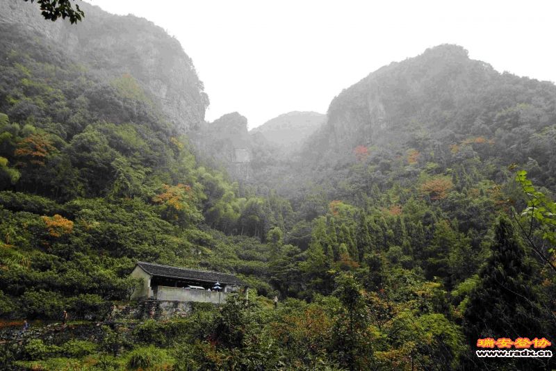 飞鹰道140.jpg