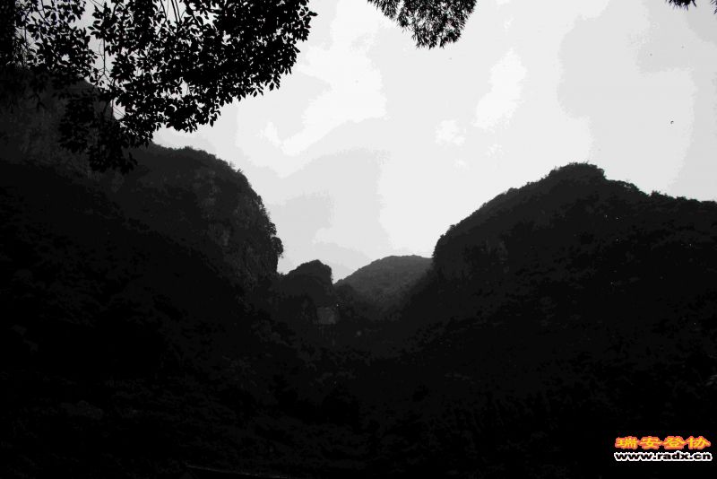 飞鹰道141.jpg