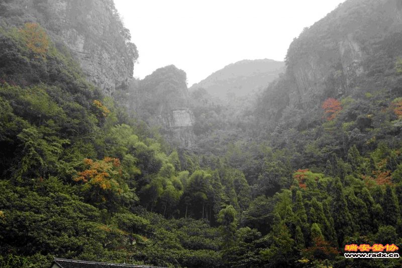 飞鹰道142.jpg