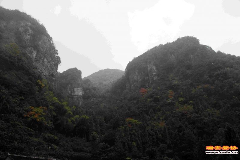 飞鹰道143.jpg