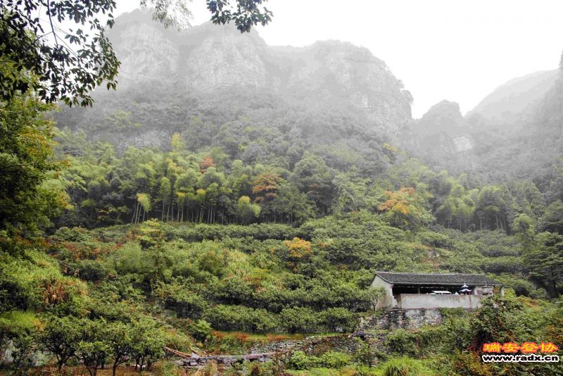 飞鹰道144.jpg