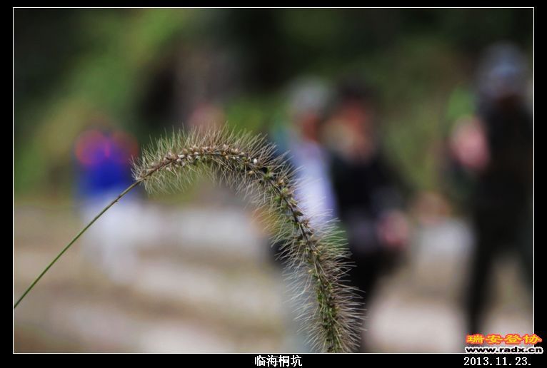 nEO_IMG_IMG_0231.jpg