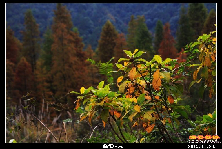nEO_IMG_IMG_0239.jpg