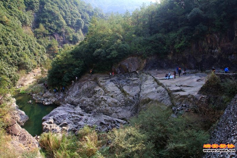 红杉林照片06.jpg