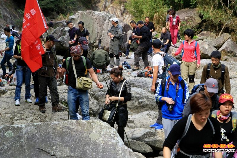 红杉林照片22.jpg