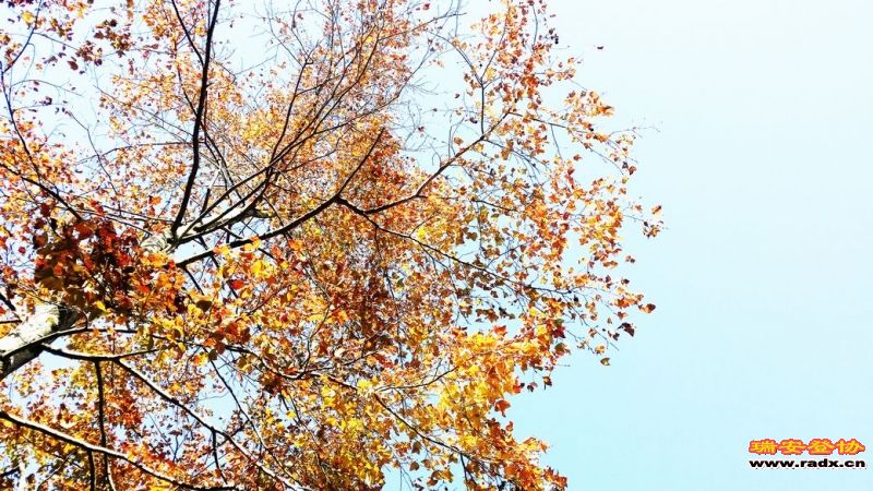 20131130_130834.jpg