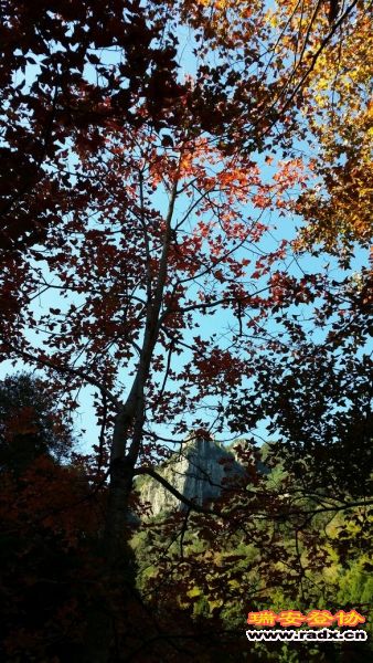 20131130_130848.jpg