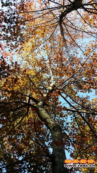20131130_130924.jpg